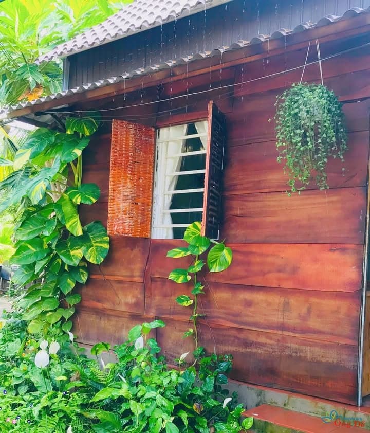 Vách gỗ nâu, cửa sổ và dây leo xanh ở khu homestay Làng du lịch sinh thái Ông Đề