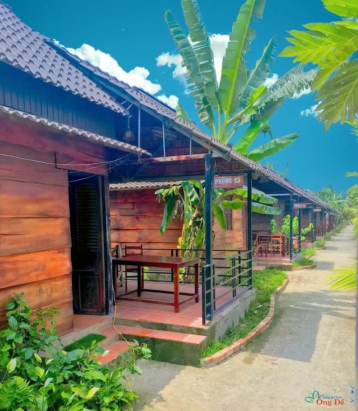 Dãy phòng homestay vách gỗ nâu giữa vườn chuối tại Làng du lịch sinh thái Ông Đề