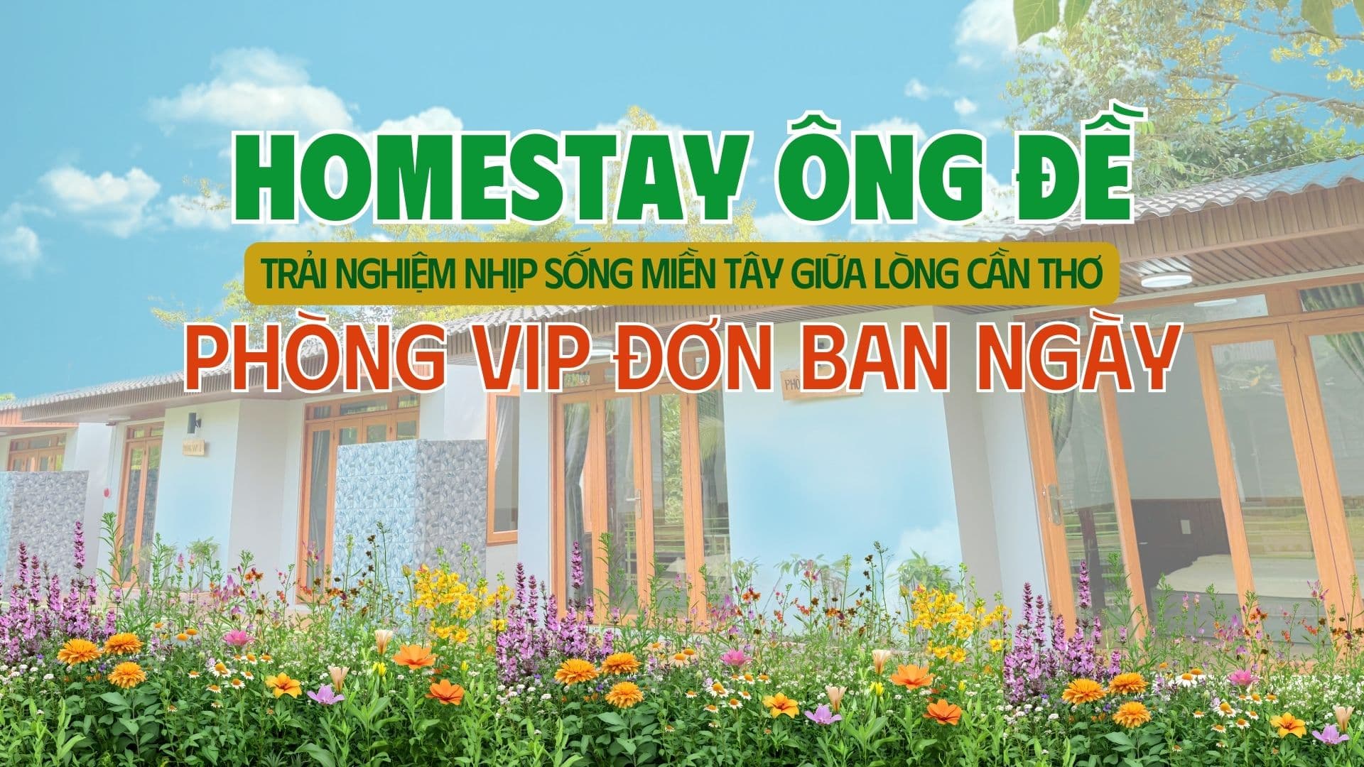 Ảnh PHÒNG VIP ĐƠN BAN NGÀY