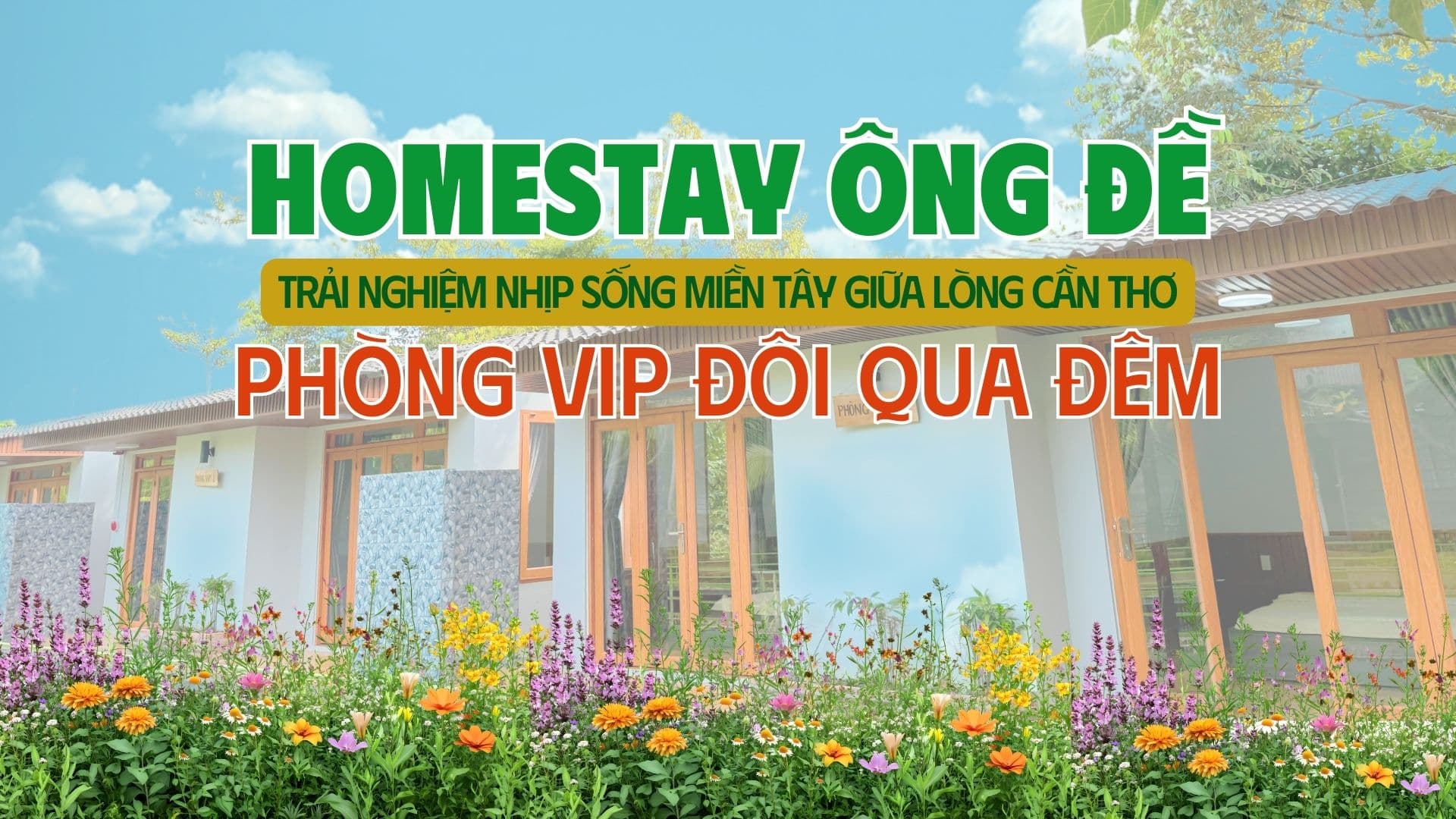 Ảnh PHÒNG VIP ĐÔI QUA ĐÊM